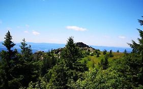 Idyllisch gelegene Ferienwohnung Xaver im Herzen des bayerischen Waldes